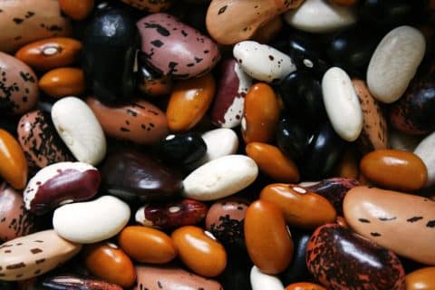 Prepping and Cooking Dry Beans: 101 - MetPro